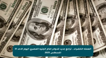 العملة الخضراء.. تراجع جديد للدولار أمام الجنيه المصري اليوم الأحد 31 أغسطس 2025